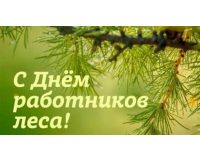 Поздравление Генерального директора ГПЛХО С ДНЕМ РАБОТНИКОВ ЛЕСА!