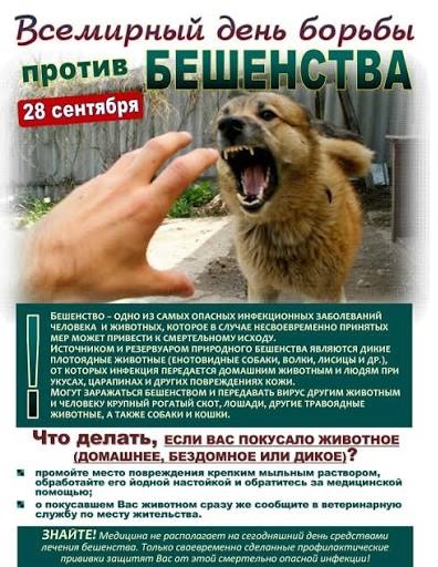 beshenstvo1