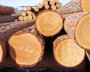 Лесоматериалы круглые