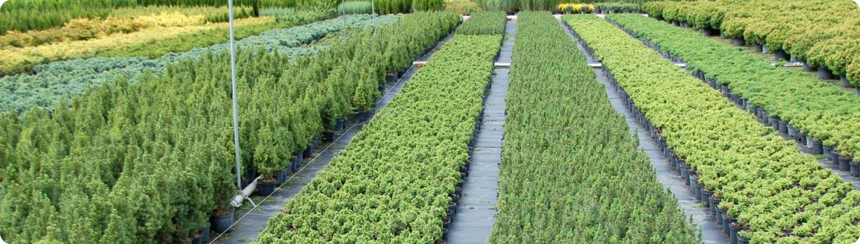 posadochnyj material