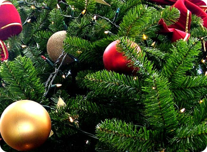 produk poboch polzo 1