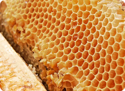 produk poboch polzo 2