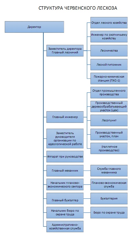 struktura chervenskogo leshoza vertikal1